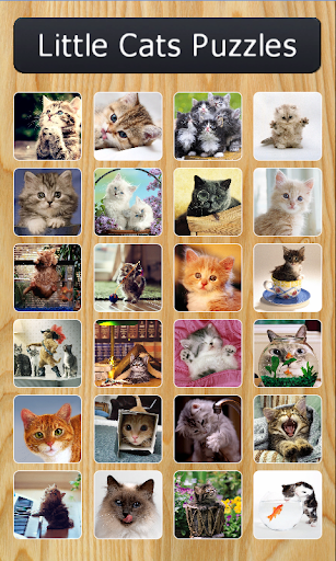 Little Cats Puzzles