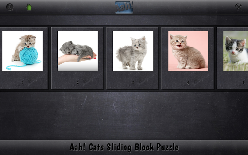 免費下載解謎APP|Aah! Cats Sliding Block Puzzle app開箱文|APP開箱王