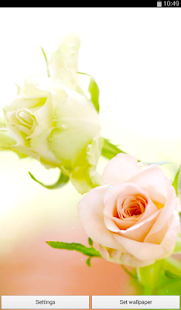 How to get Rose Live Wallpaper 1.0 apk for laptop