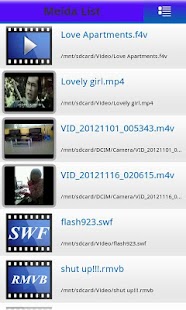 MP4 FLV WMV Media Player