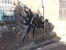 Fahey Lane Spider