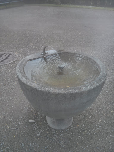 Trinkbrunnen Im Park