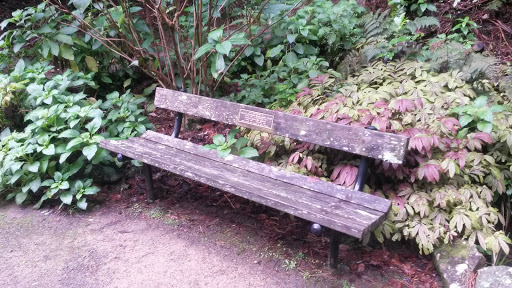 In Memory Of Olivia West Bench