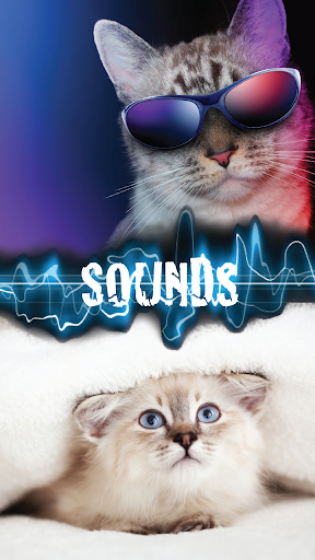 Kitty Purr Sounds