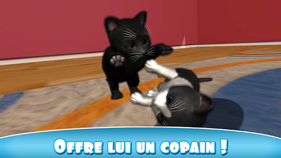  Daily Kitten : chat virtuel – Vignette de la capture d'écran  