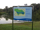 MacRitchie Reservoir
