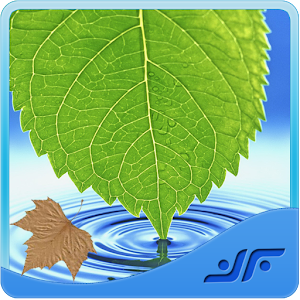 Plants and herbs app mac download