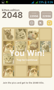 How to mod 2048: Kitten Puzzles 1.1 apk for bluestacks