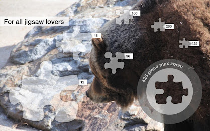 Grizzly Bear Jigsaws Demo poster 10