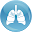 Respiratory Meds Download on Windows