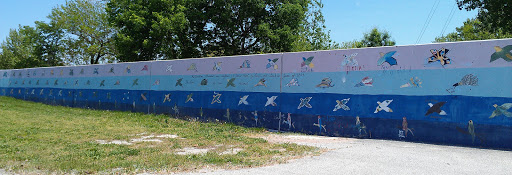 Parakeet Wall at Kaw Point