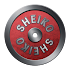 Sheiko Powerlifting Training1.20