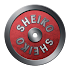 Sheiko Powerlifting Training1.20