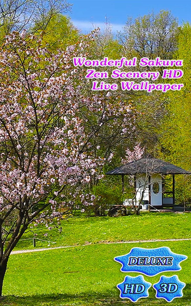 Wonderful Sakura Zen Scenery Screen 1