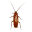 Cockroach simulator Download on Windows