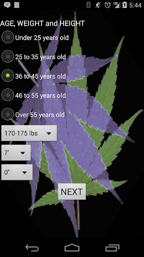 Marijuana Test Calculator THC