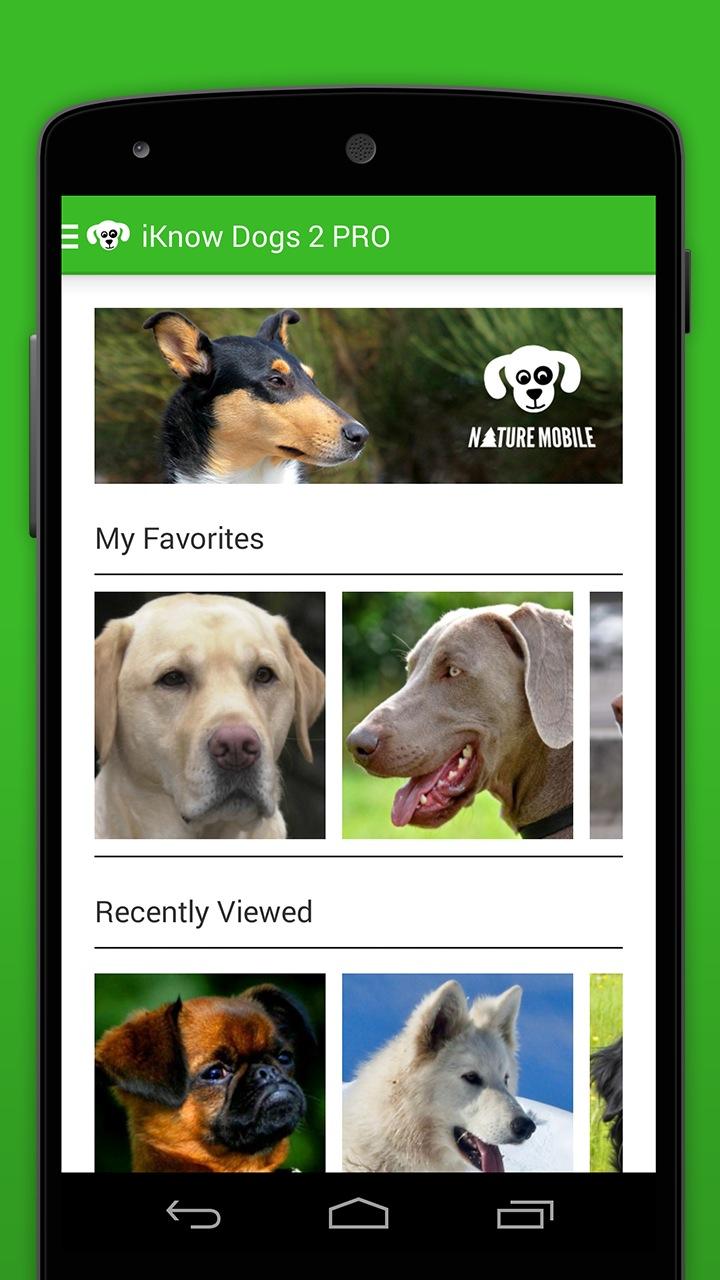 iKnow Dogs 2 PRO Screen 2