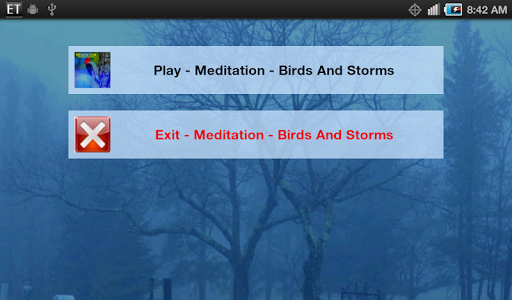 Meditate To Birds Storm
