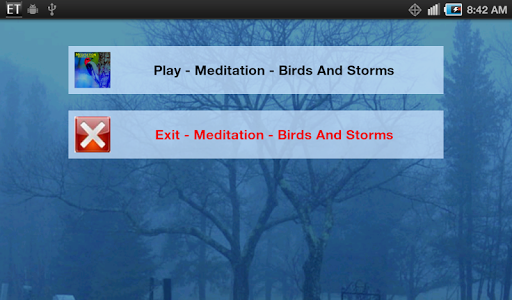 【免費健康App】Meditate To Birds Storm-APP點子