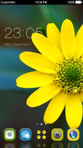 Little Flower C Launcher Theme