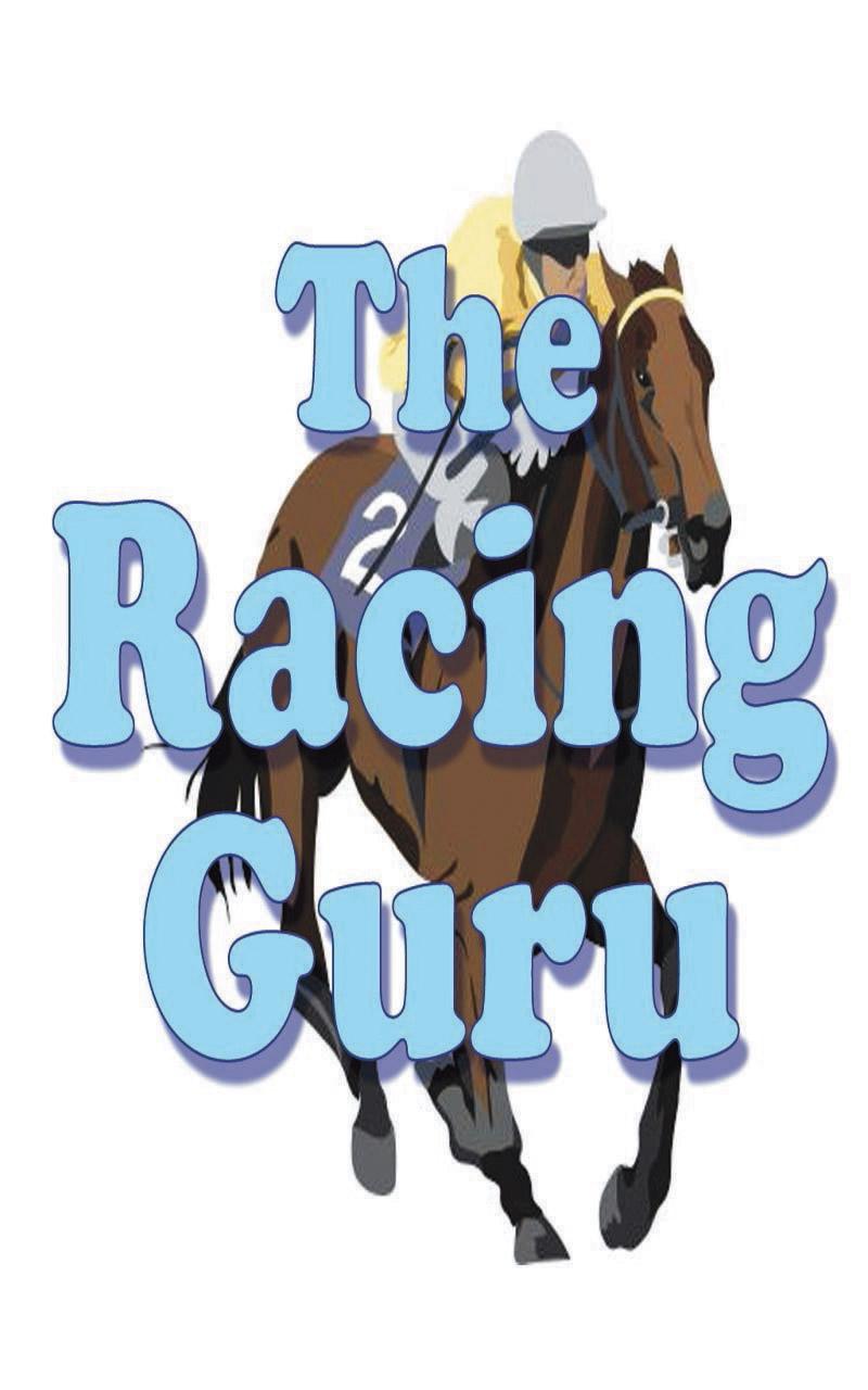 Racing Guru - Betting Success Screen 2