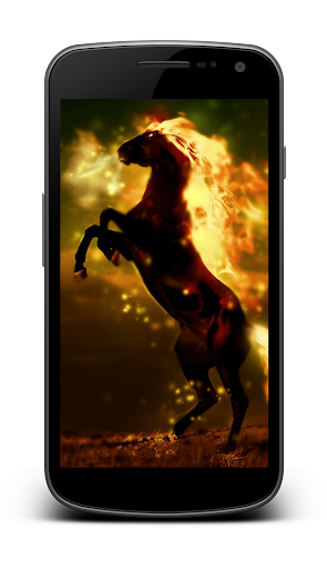 Horses Wallpapers