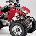 Race Motor Bikes Wallpaper