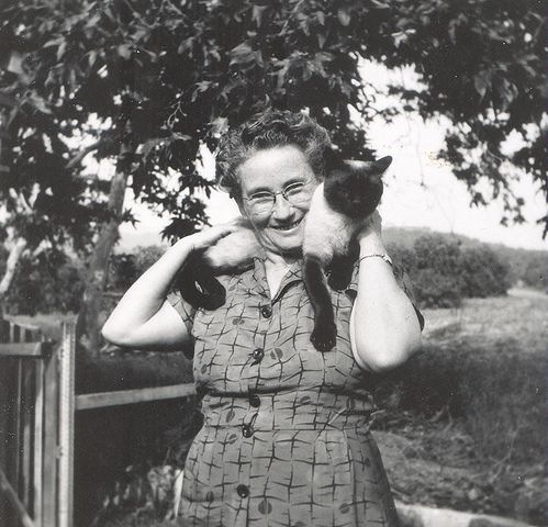 [vintage_cats_02[2].jpg]