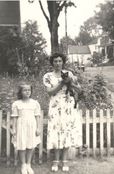 Vintage photo cats