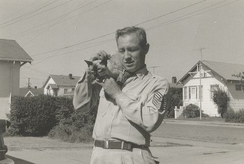[vintage_cats_14[2].jpg]