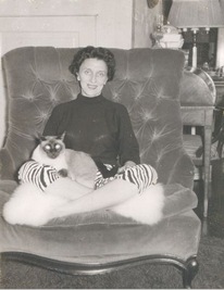 Vintage cats photo