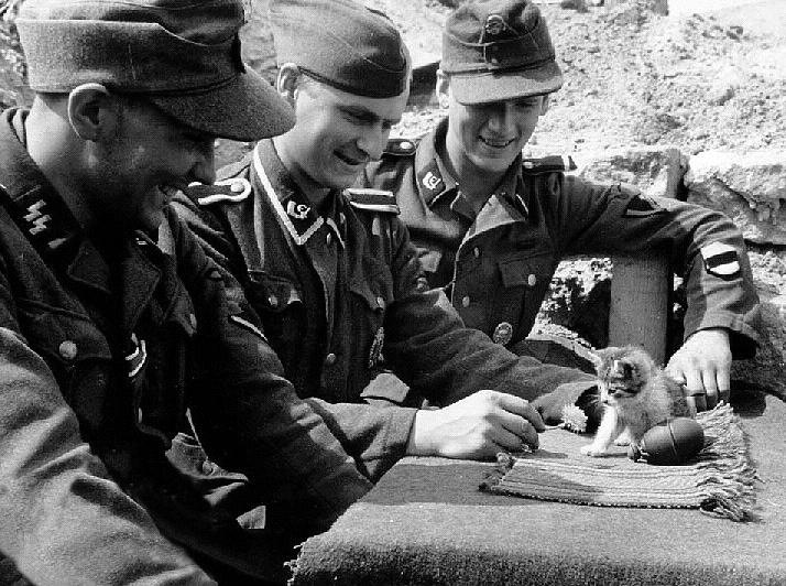 [vintage-war-cat[3].jpg]