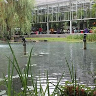 菁芳園 Tenway Garden／花園餐廳／落羽松