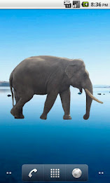 Elephant Sticker poster 3