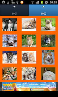 How to download Cat Ringtones 1.0 apk for bluestacks