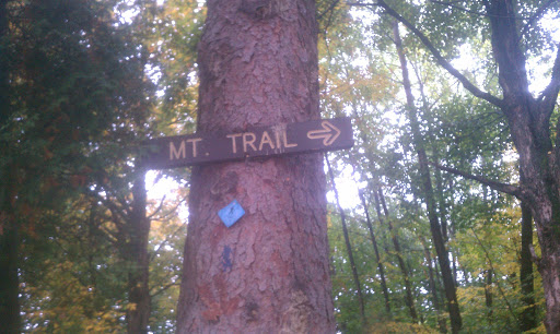 MT Trail