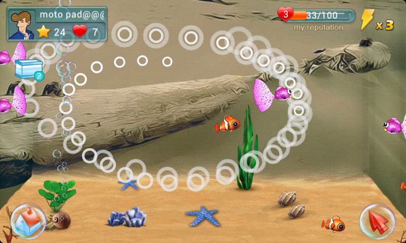 Fish Live Screen 3