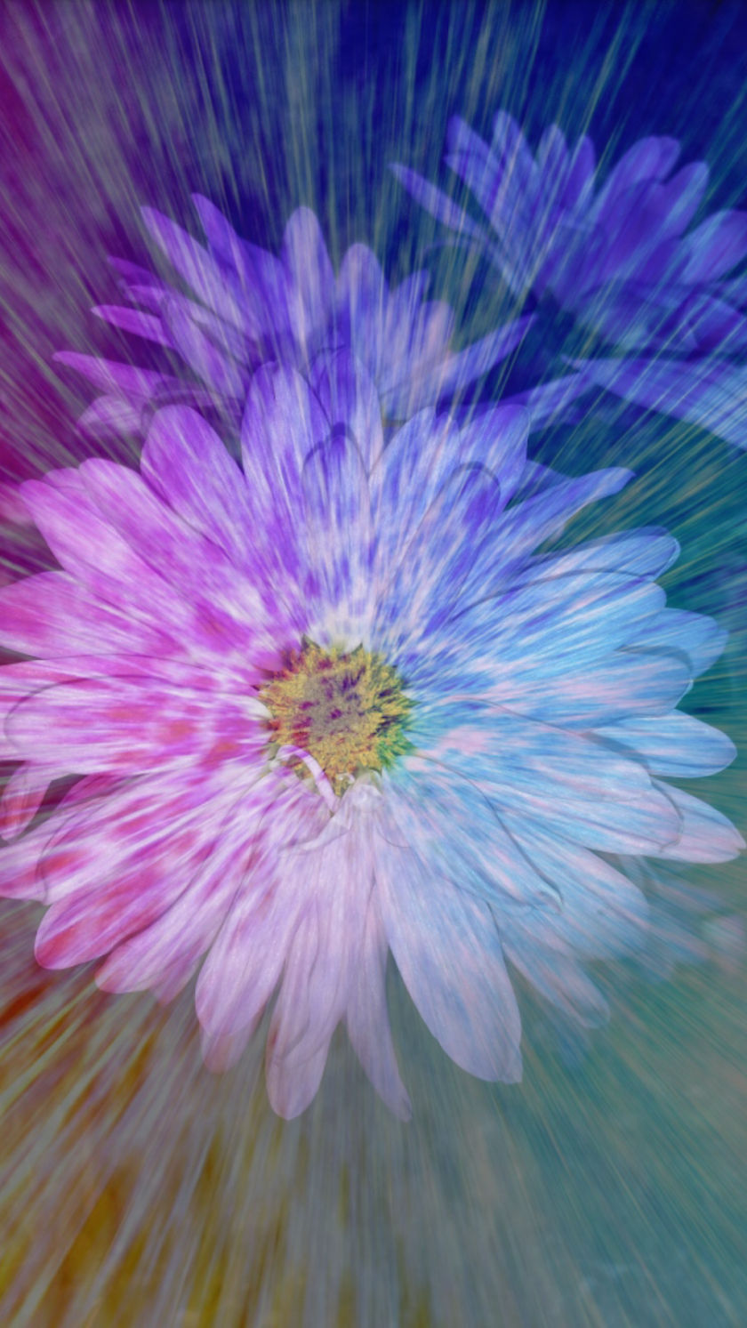 Overlay Camera Pro Screen 3