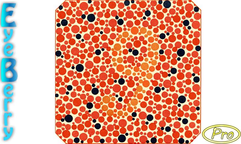 EyeBerry Pro Screen 2