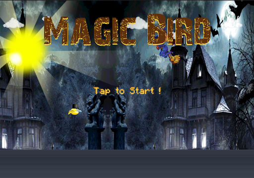 Magic Bird