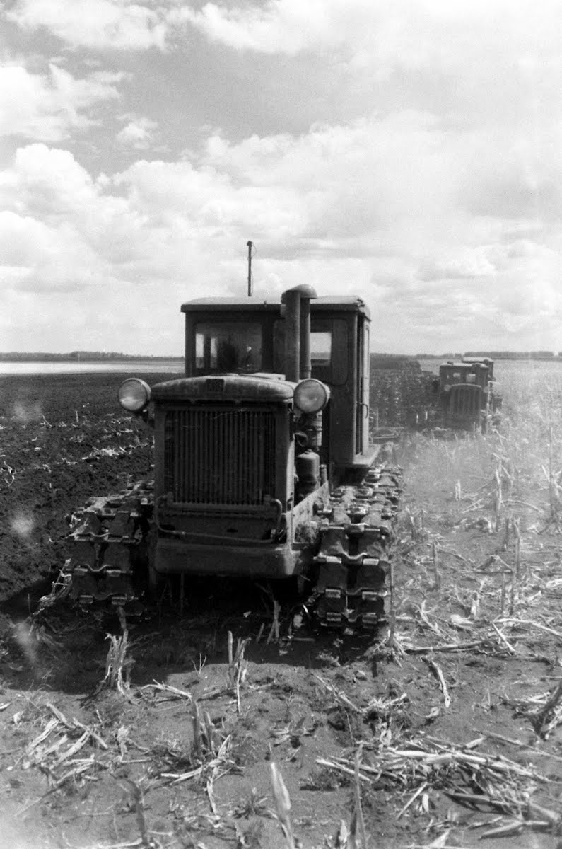 Soviet Union Virgin Lands "Breadbasket" Story Filmed In Area Of