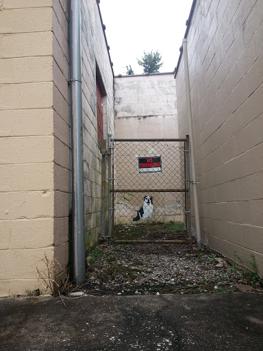 Caged Dog Street Art on Skain Ave