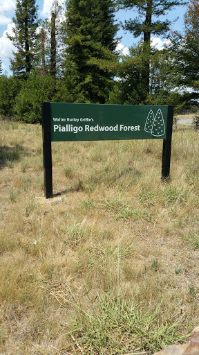 Pialligo Redwood Forest