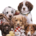 Dogs Live Wallpaper logo