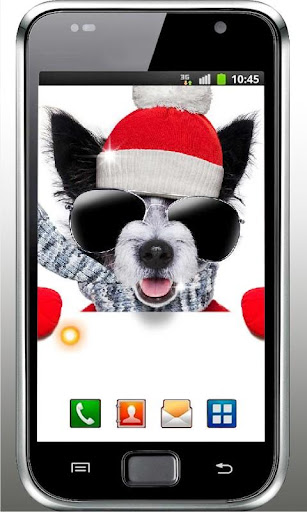 免費下載個人化APP|Bad Puppy Free Live Wallpaper app開箱文|APP開箱王