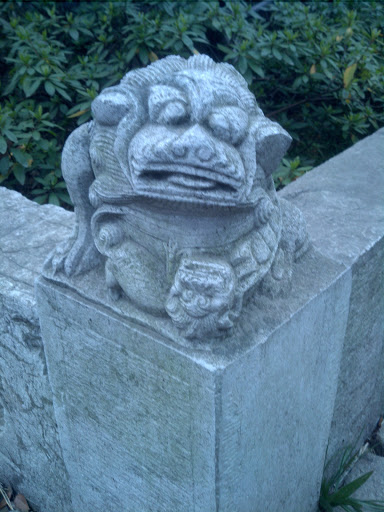 Stone Frog Suprised You Humm