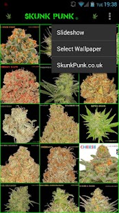 How to download Skunk Punk Marijuana Images patch 1.2.2 apk for laptop