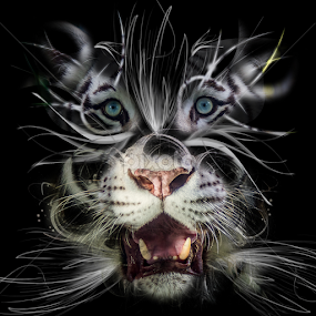 Conceptual Big Cat seven by Ken  Frischkorn - Digital Art Animals