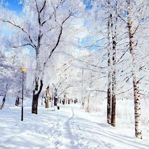 Winter Wallpaper 2.0.6