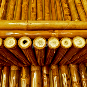 Bamboo Woods by Padz Eef - Fotografo - Abstract Patterns